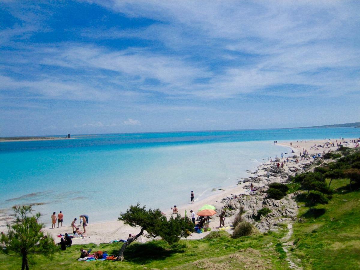 Apartament Lucia 150Mt From Beach كاستيلساردو المظهر الخارجي الصورة